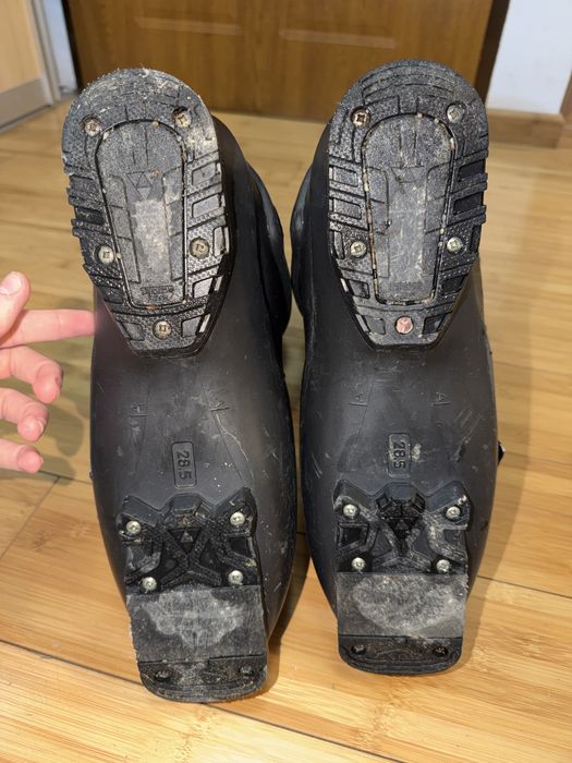 Clapari Fischer Cruzar Fun 28.5