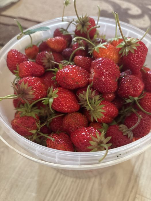 Продам дачную клубнику,сочную ,ароматную!