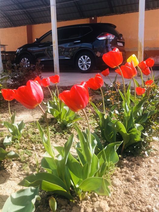 Добротный дом в Самал-1