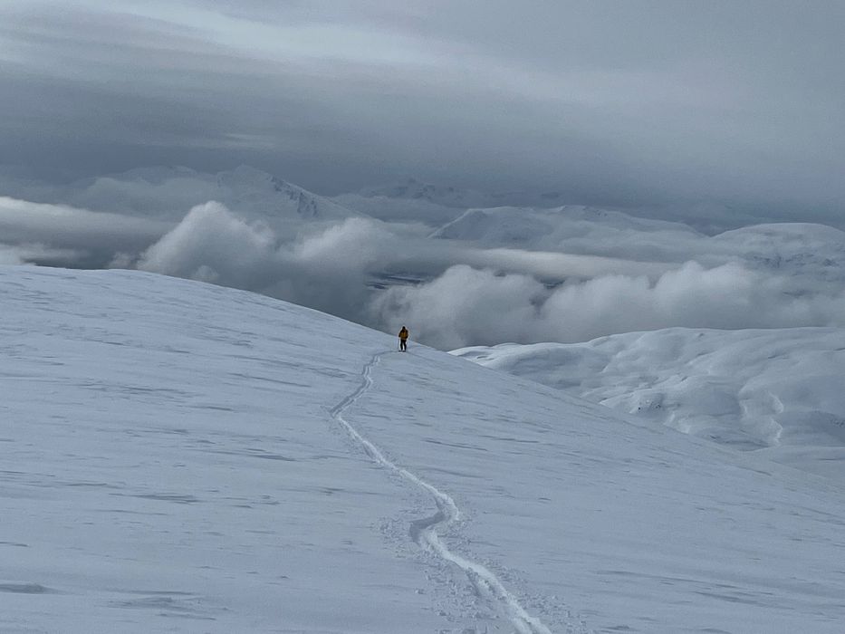 Обувки за ски туринг(2025)