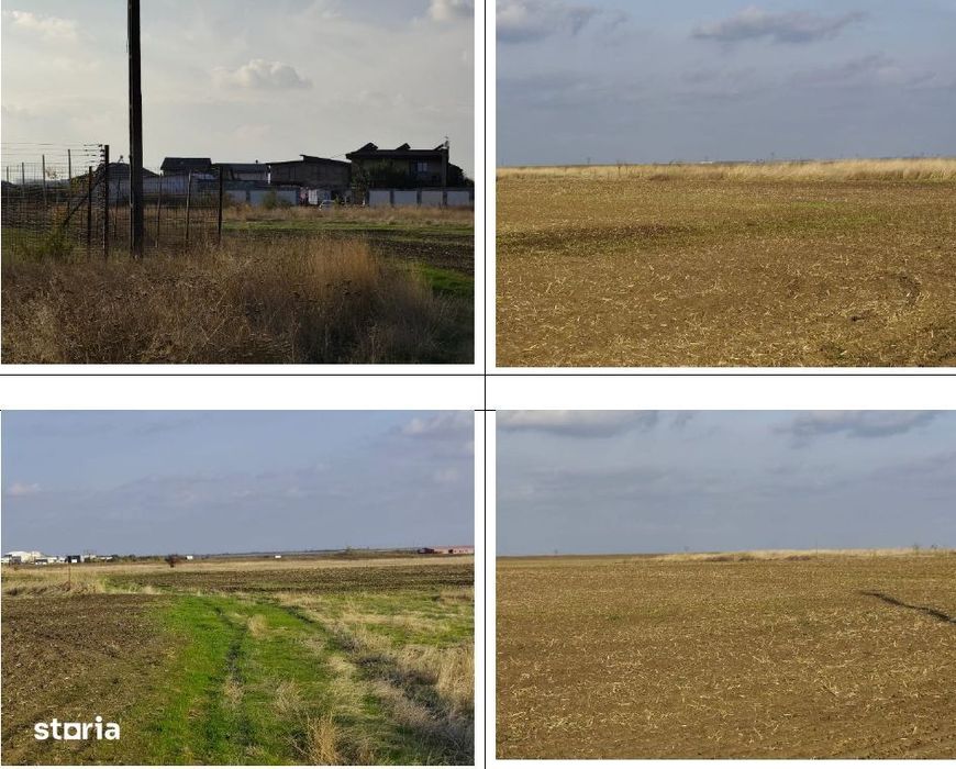 Teren Loc. Pielesti,  Jud Dolj