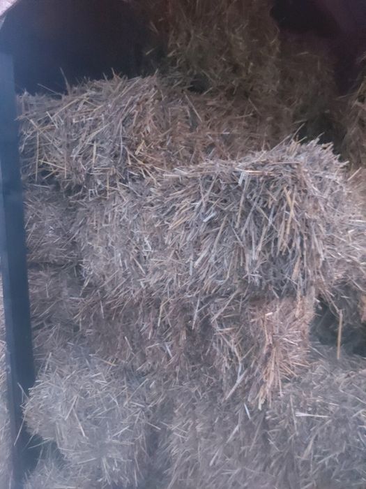 Baloți paie curate ținute la adăpost