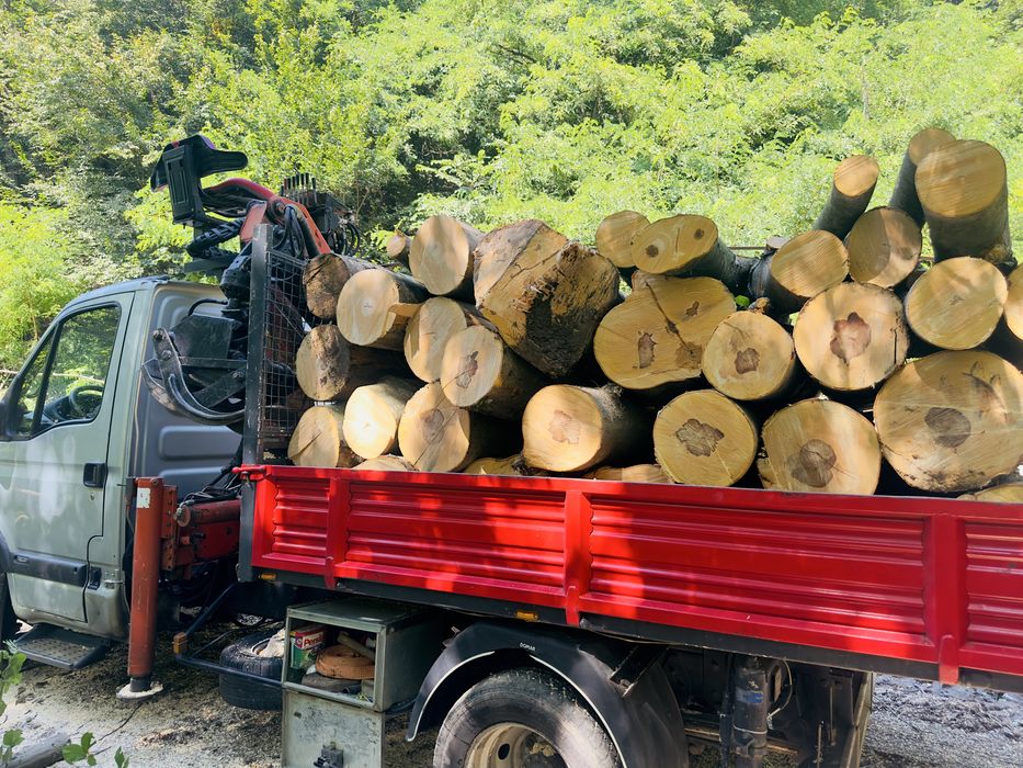 Lemn de foc esenta tare