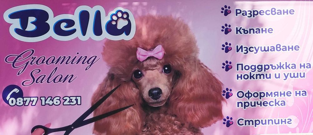 Груминг студио,подстригване на домашни любимци - кучета и котки