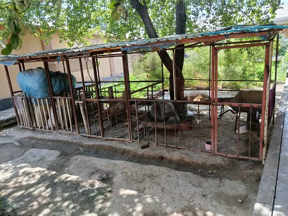 Куйхона сотилади куйхона сотилади куйхона сотилади куйхона сотилади Ку