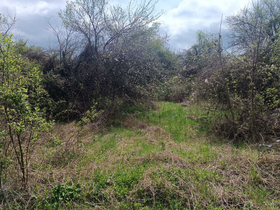 УПИ- Кондофрей област Радомир