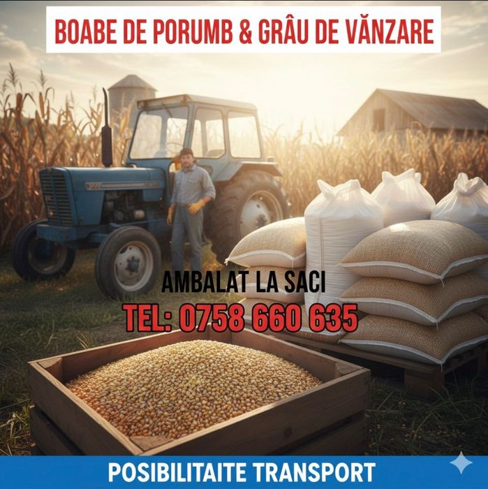 Grau, boabe porumb