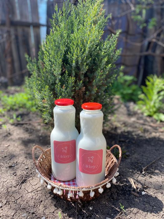 Lapte de capră 12 lei litrul