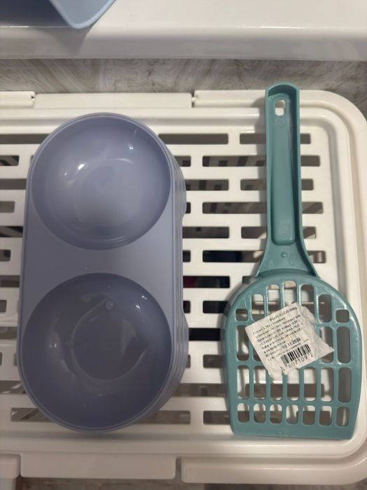 Котенок вислоухий