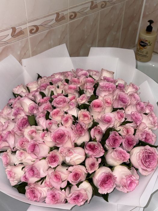 Продам 101 розу,