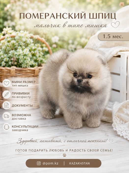 Готовятся к продаже