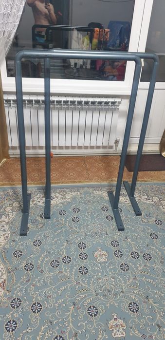 Брюси домашние в хорошем состоянии