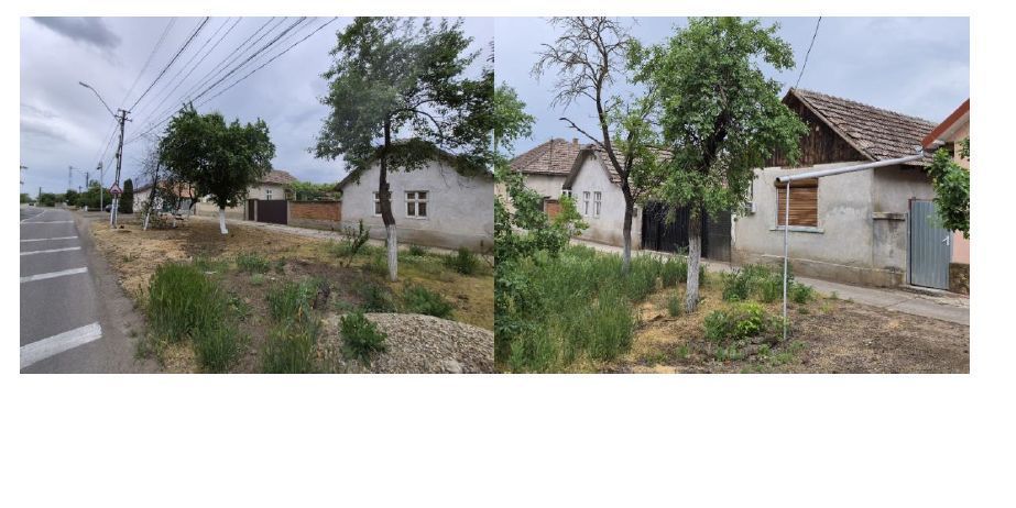 Cota de 1/2 din Casa si teren loc. Macea, jud. Arad