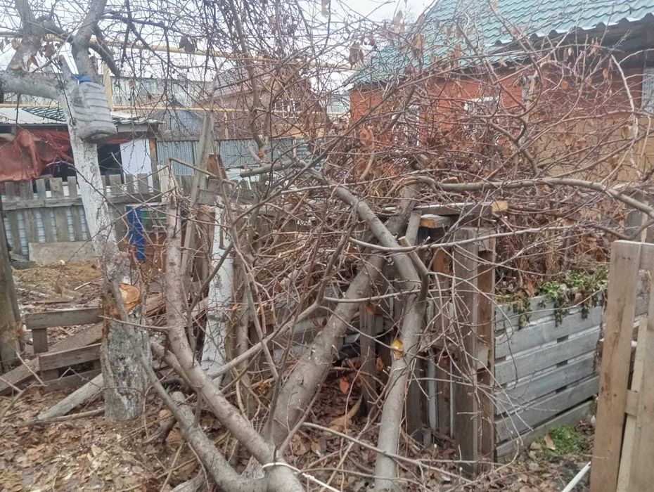 Дрова отдам даром