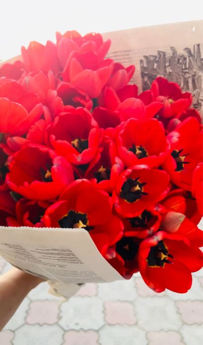 Тюльпаны свежие с огорода