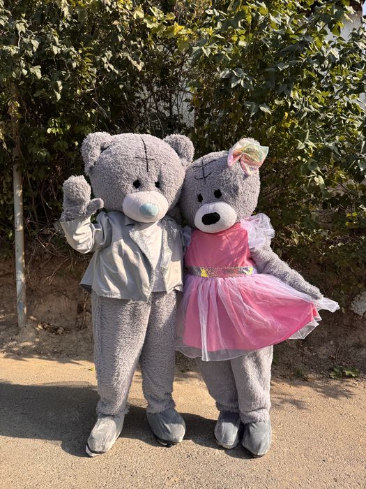 Мишка на прокат Алматы