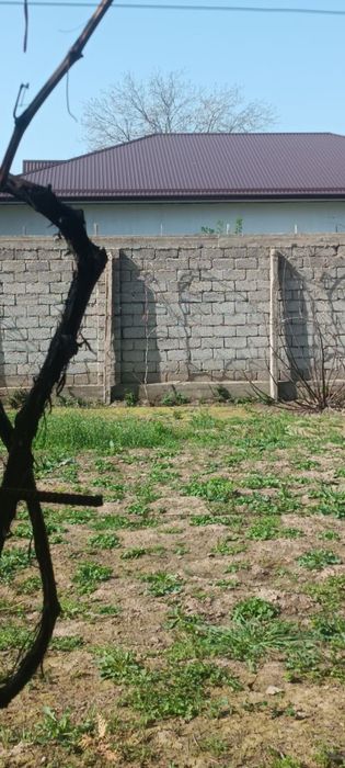 участок 8 соток