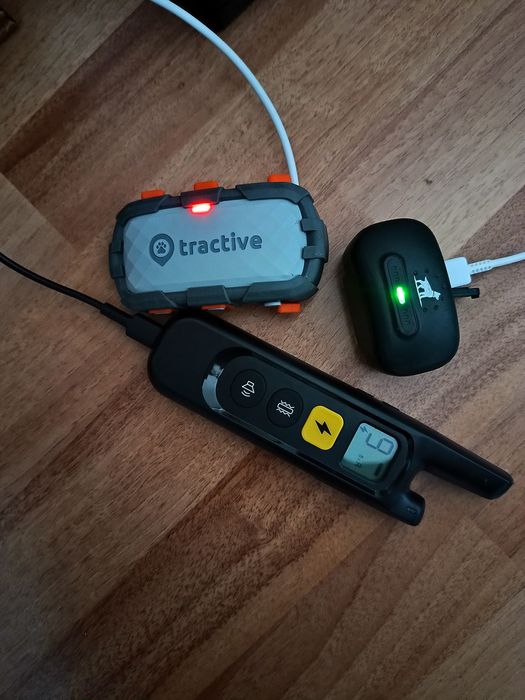 Gps pentru câini de vânătoare  și zgardă de dresaj