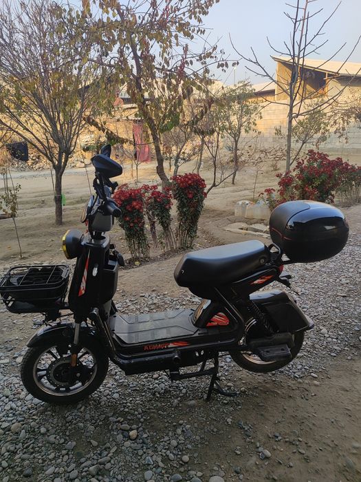 Skuter sotiladi 4 mln kami bor