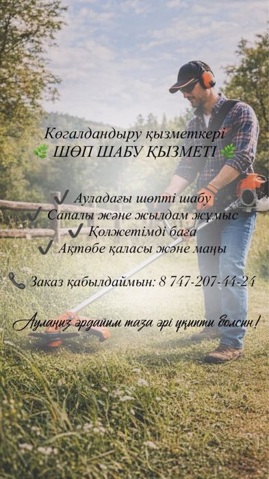 Аула шөбін шабу қызметі