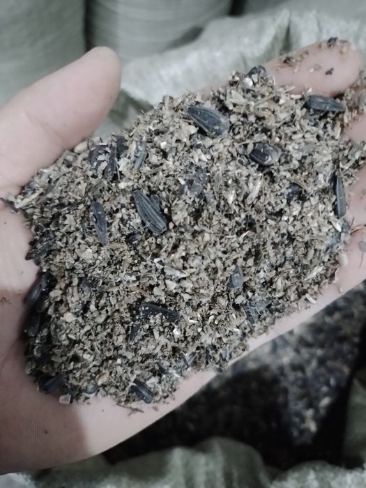 Жем отход от семечки