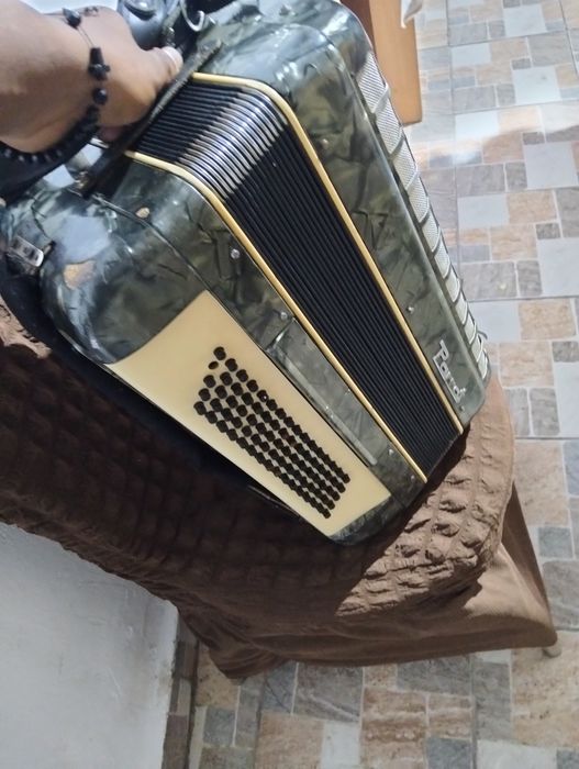 Acordeon parot 80 de bași