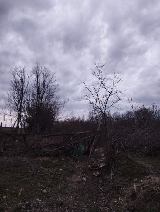 Продава се Парцел в Тръстеник - 2224 кв.м за 2 €/кв.м - Снимка #3