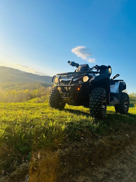 Se vinde canam, urgent!