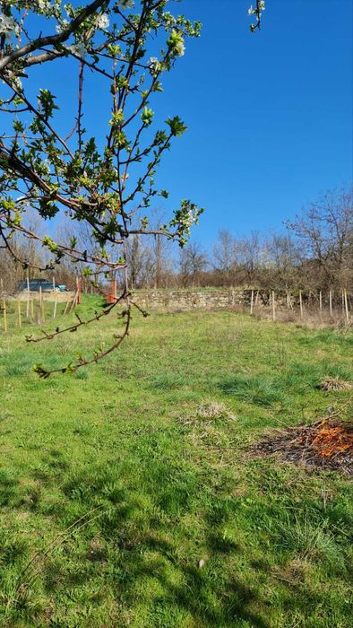 Продава се Парцел в Велико Търново, Бузлуджа - 1290 кв.м за 28 €/кв.м - Снимка #3