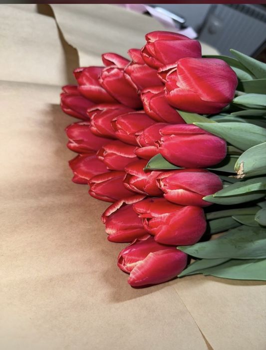 Тюльпаны оптом и в розницу