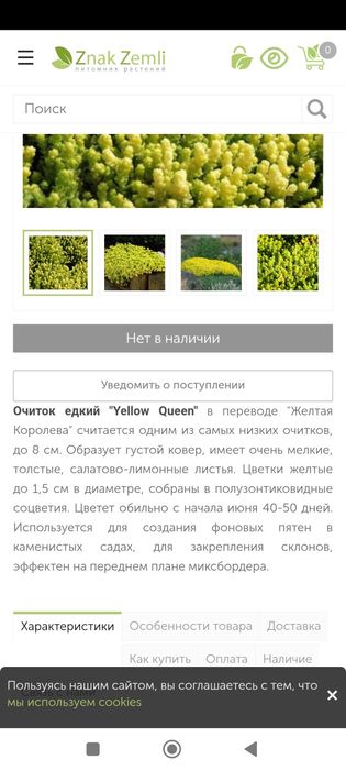 Продам очиток, каприфоль