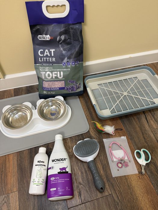 Все что нужно для котенка