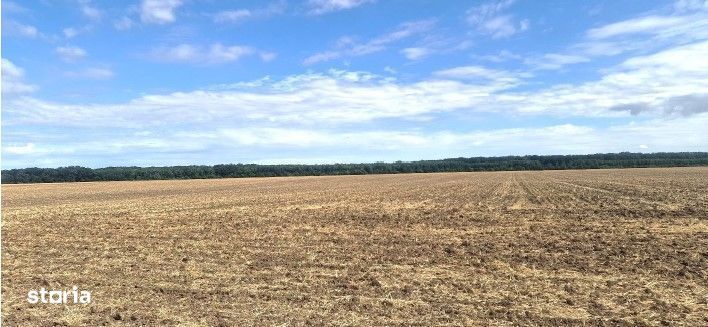 Teren extravilan Branesti, ID: R2649181