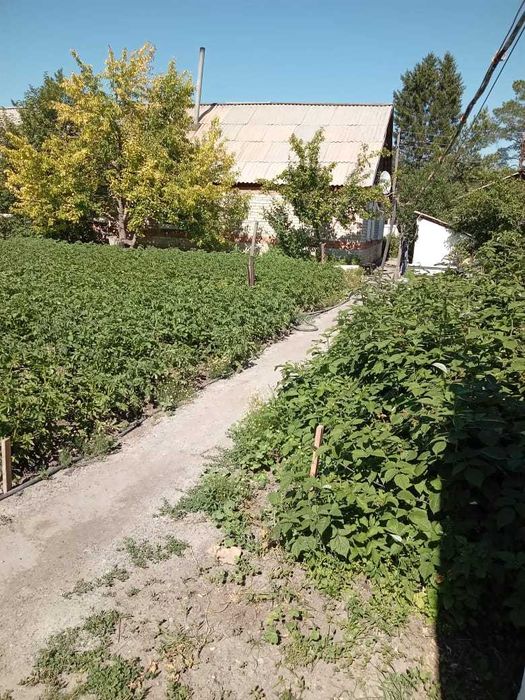 Продам дом в с. Саратовка