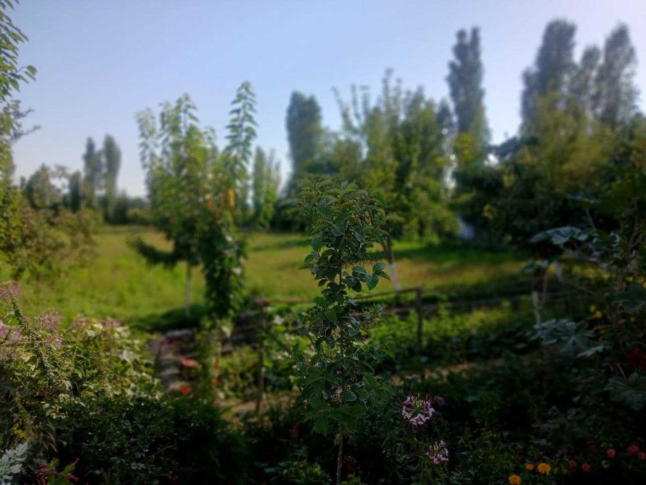 Диккат уй сотилади