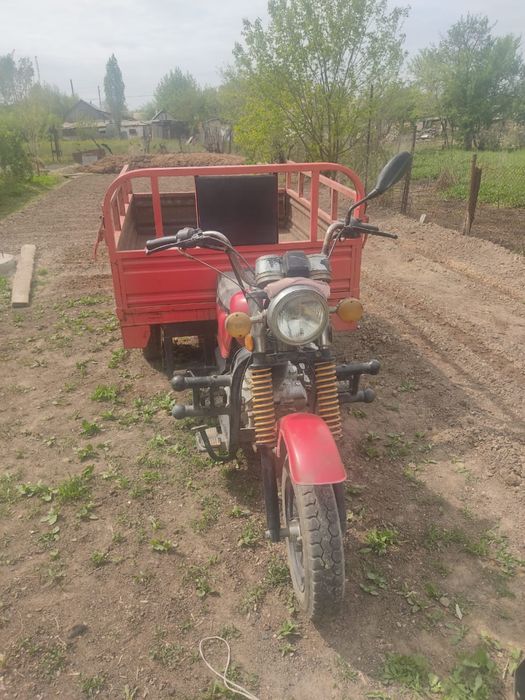 Моторолер муравей