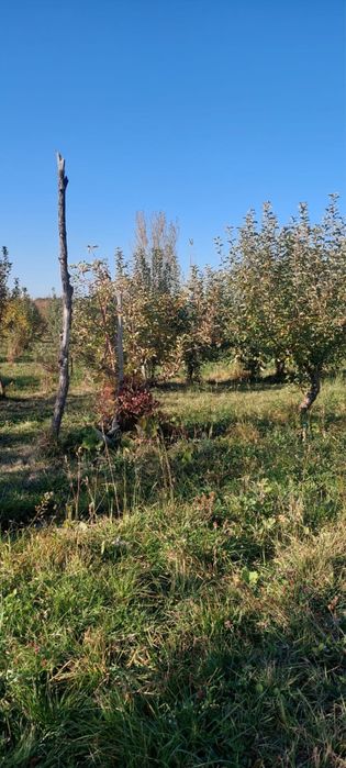 Продажа участка 1.6 га