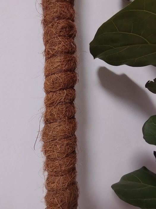 Опора для растений 1,85м