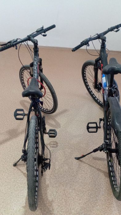 Великтер сатылады