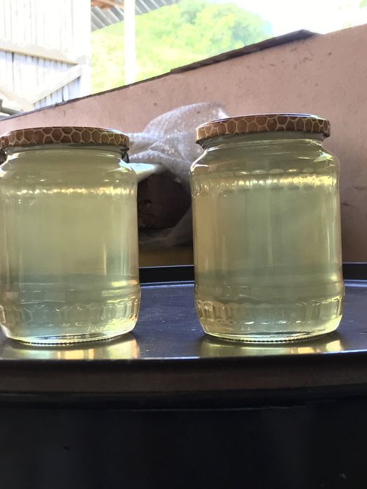 Miere de salcam 2023