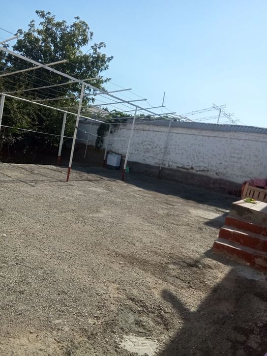 Hovli sotiladi 7 sutix