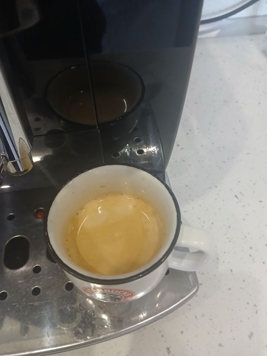 Delonghi magnifica