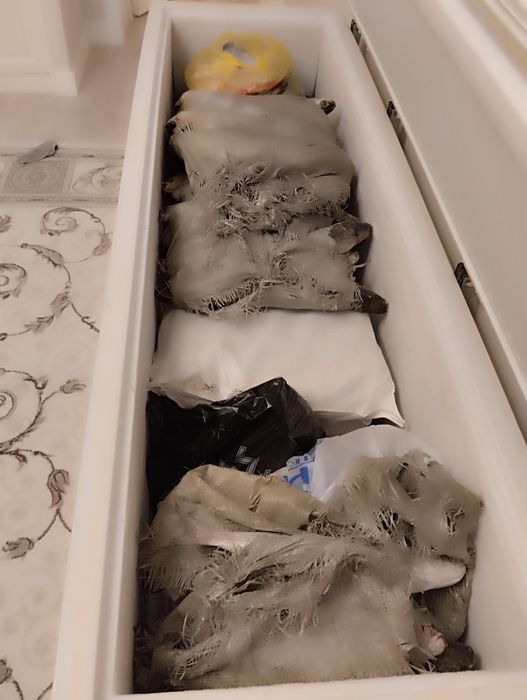 Морозильная камера