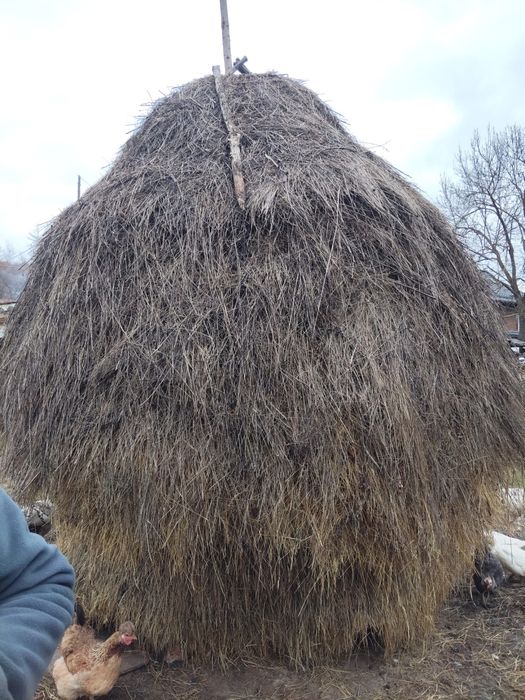 Vand fan de gradina amestecat cu lucerna