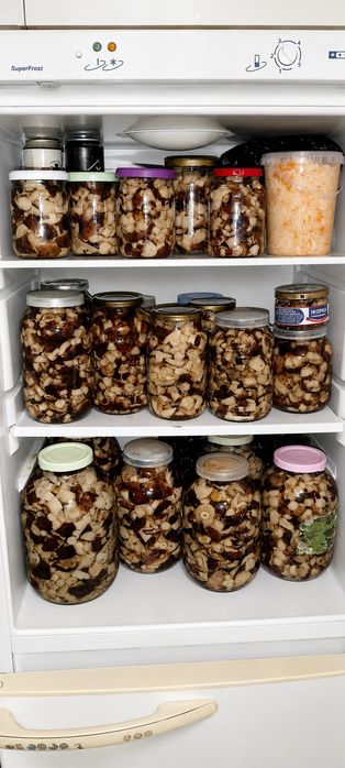 Продам соленые грибочки