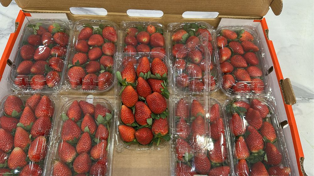 Клубника Египет