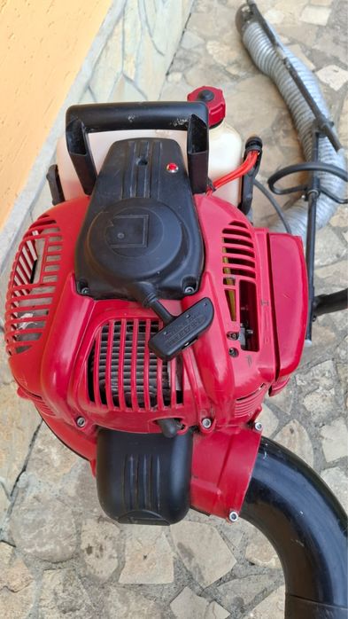 Aspirator nuci si castane