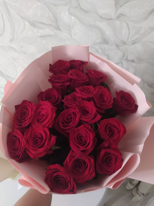 Цветы розы красивые