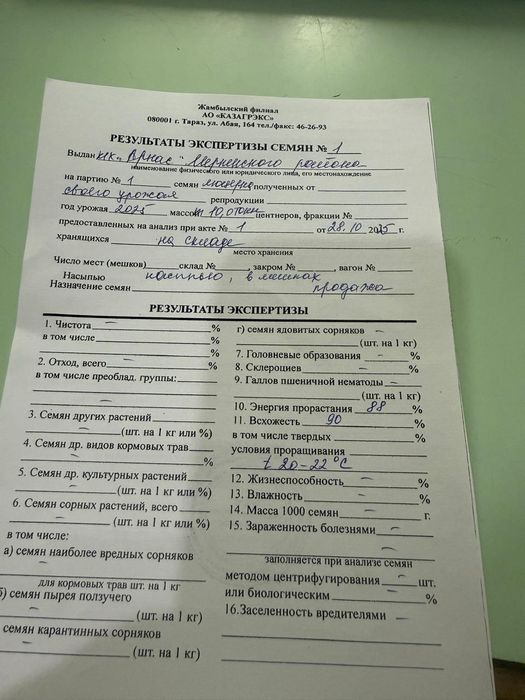 Семена люцерны жоңышқа тұқымы беде!