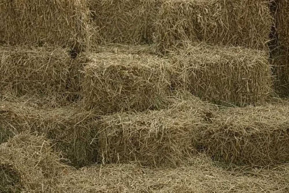 Бали балканско сено